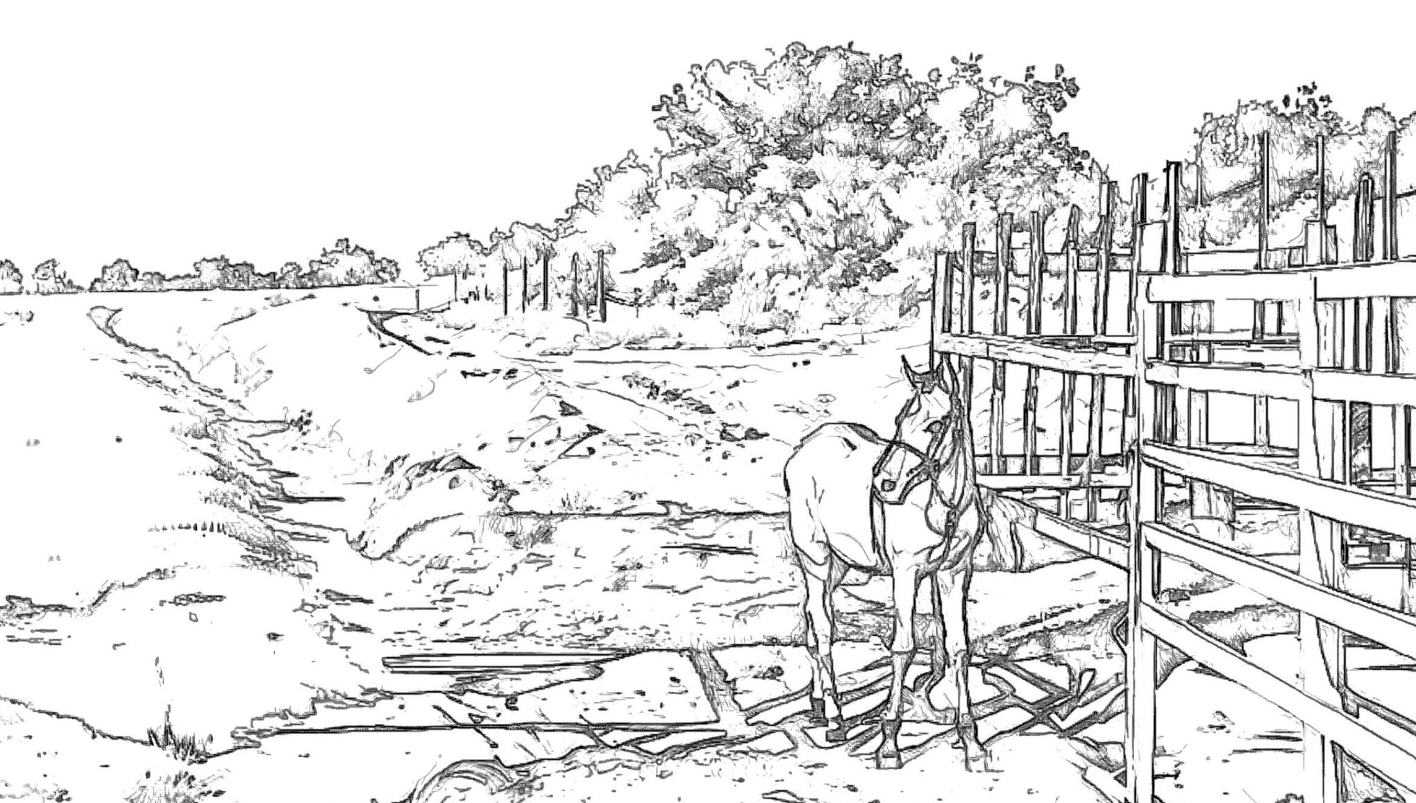 A forgotten voice. A story of survival